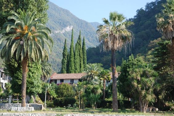 Отдых в Абхазии