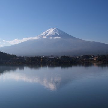 2020121120093925453.jpg