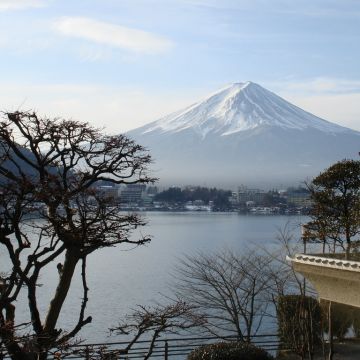 2020121120093925455.jpg
